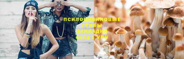 прущая мука Вязники