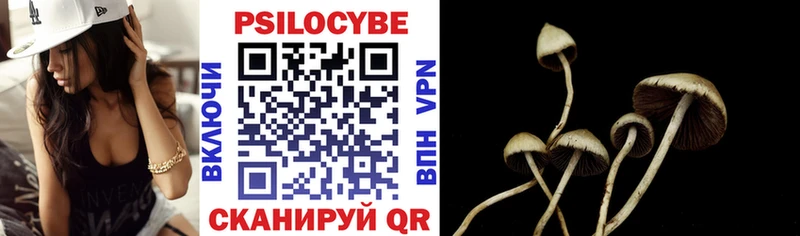 Псилоцибиновые грибы Psilocybe  Купить  Тюмень 
